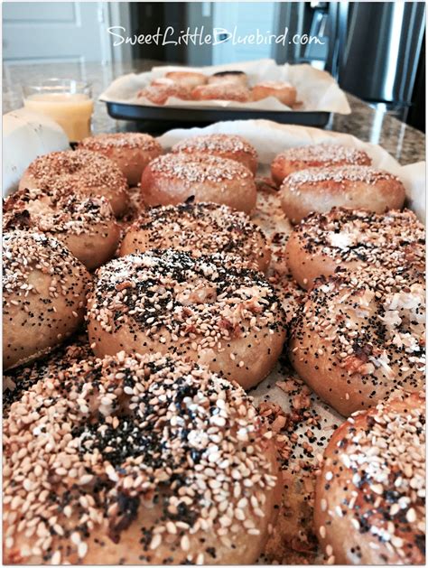 sweet little bluebird bagels